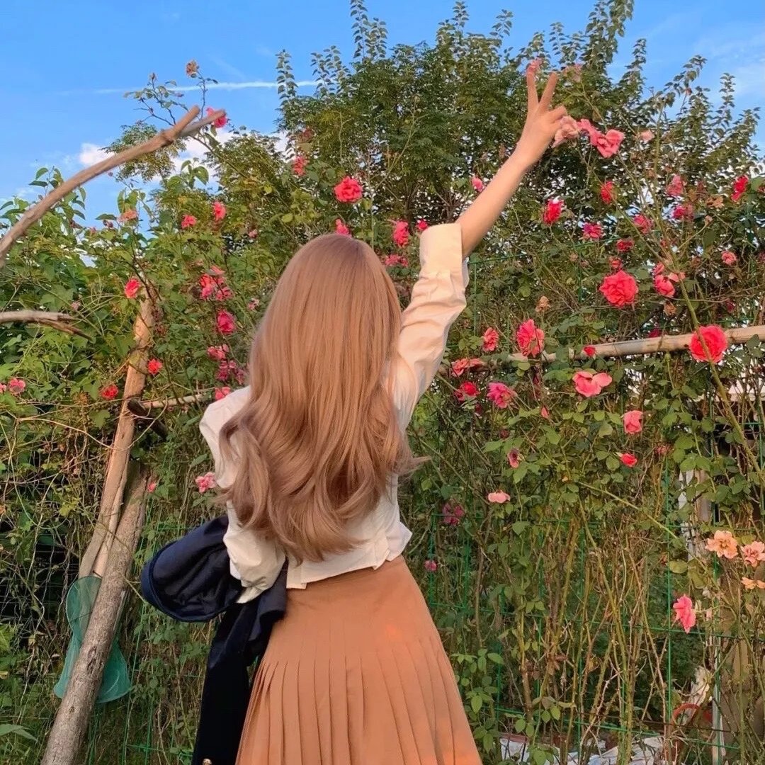 红粉女海盗